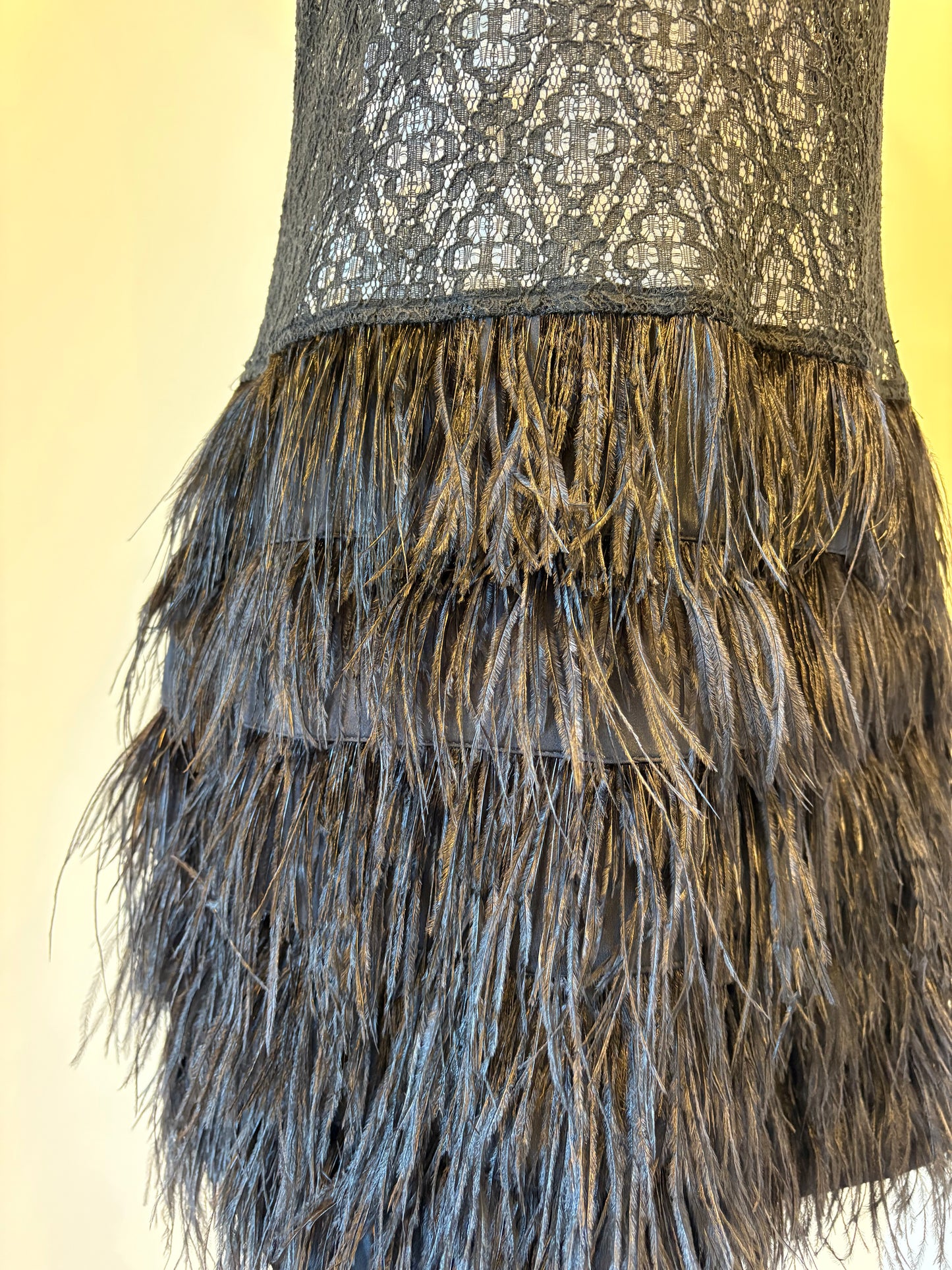 Storm, lace dress with feather skirt - 12
