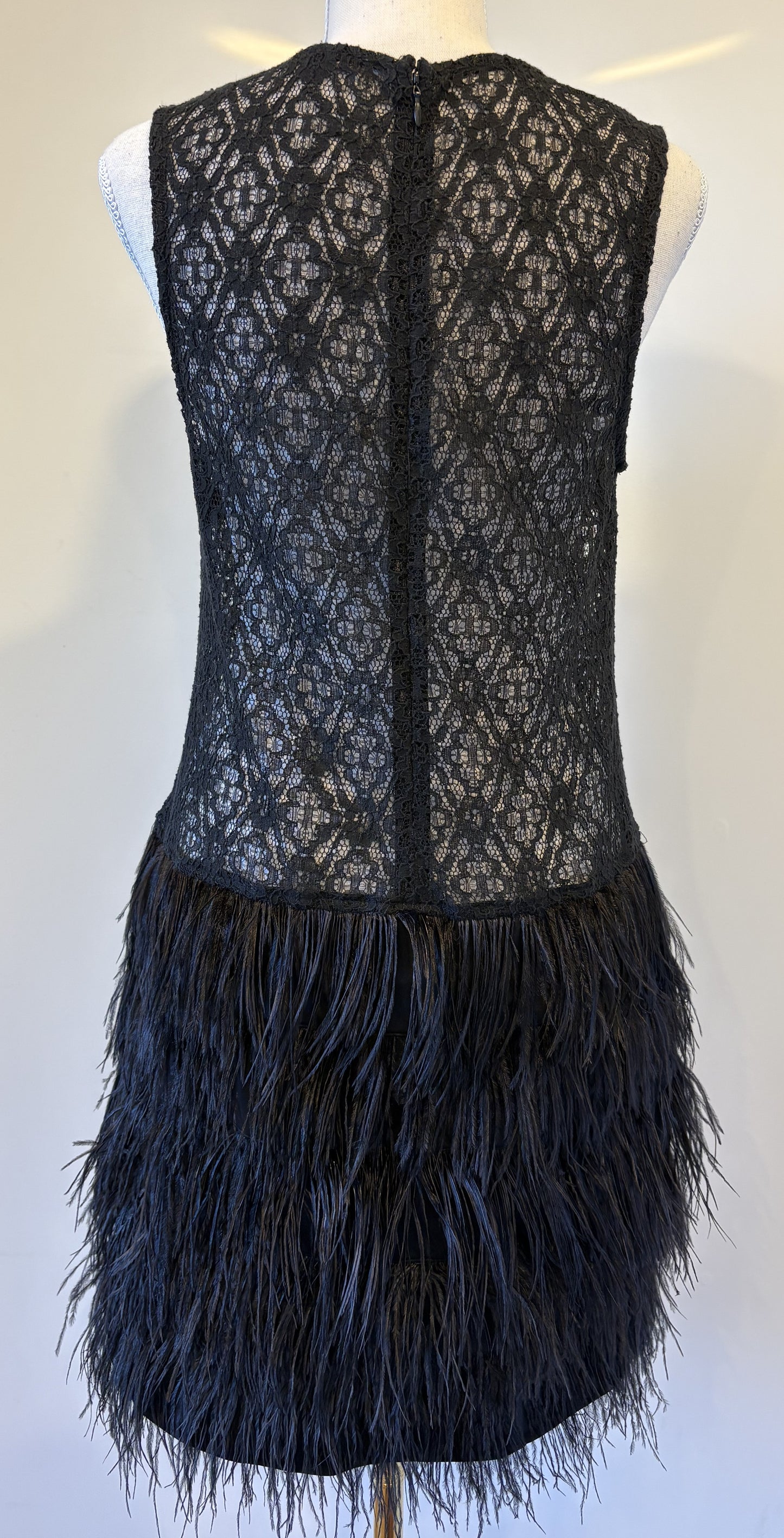 Storm, lace dress with feather skirt - 12