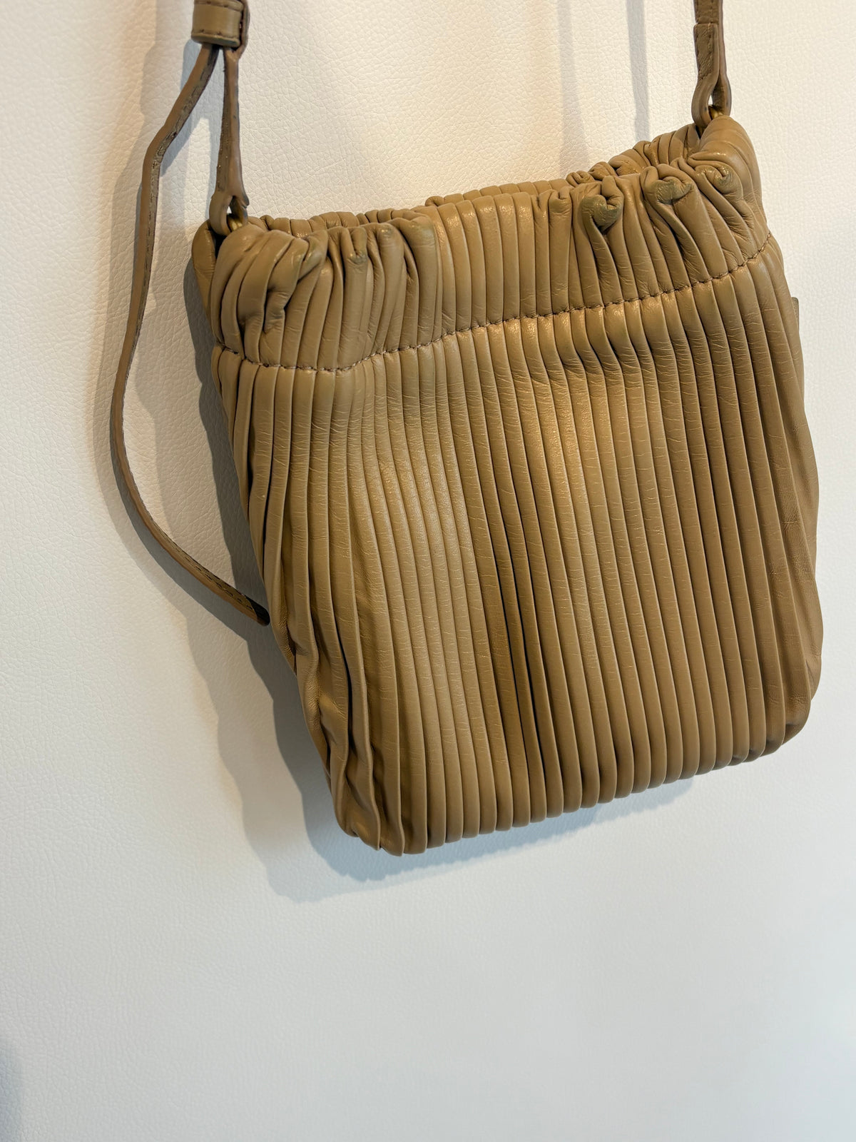 Pleated Deadly Ponies Bag