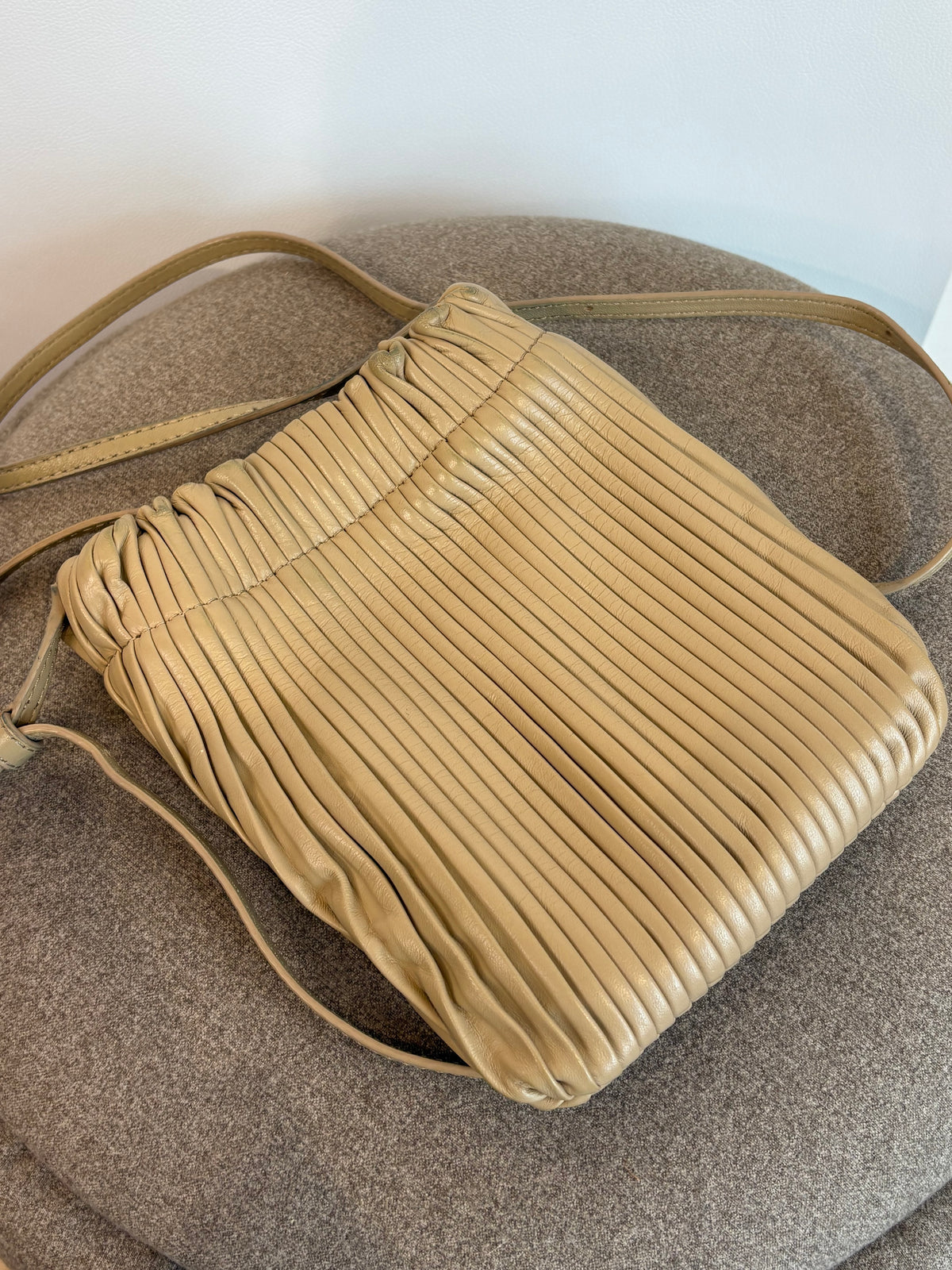 Pleated Deadly Ponies Bag