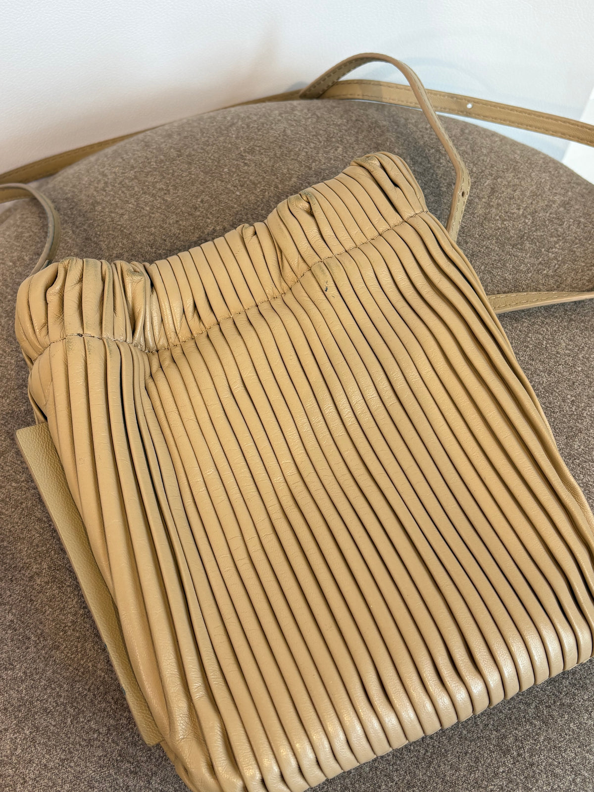 Pleated Deadly Ponies Bag