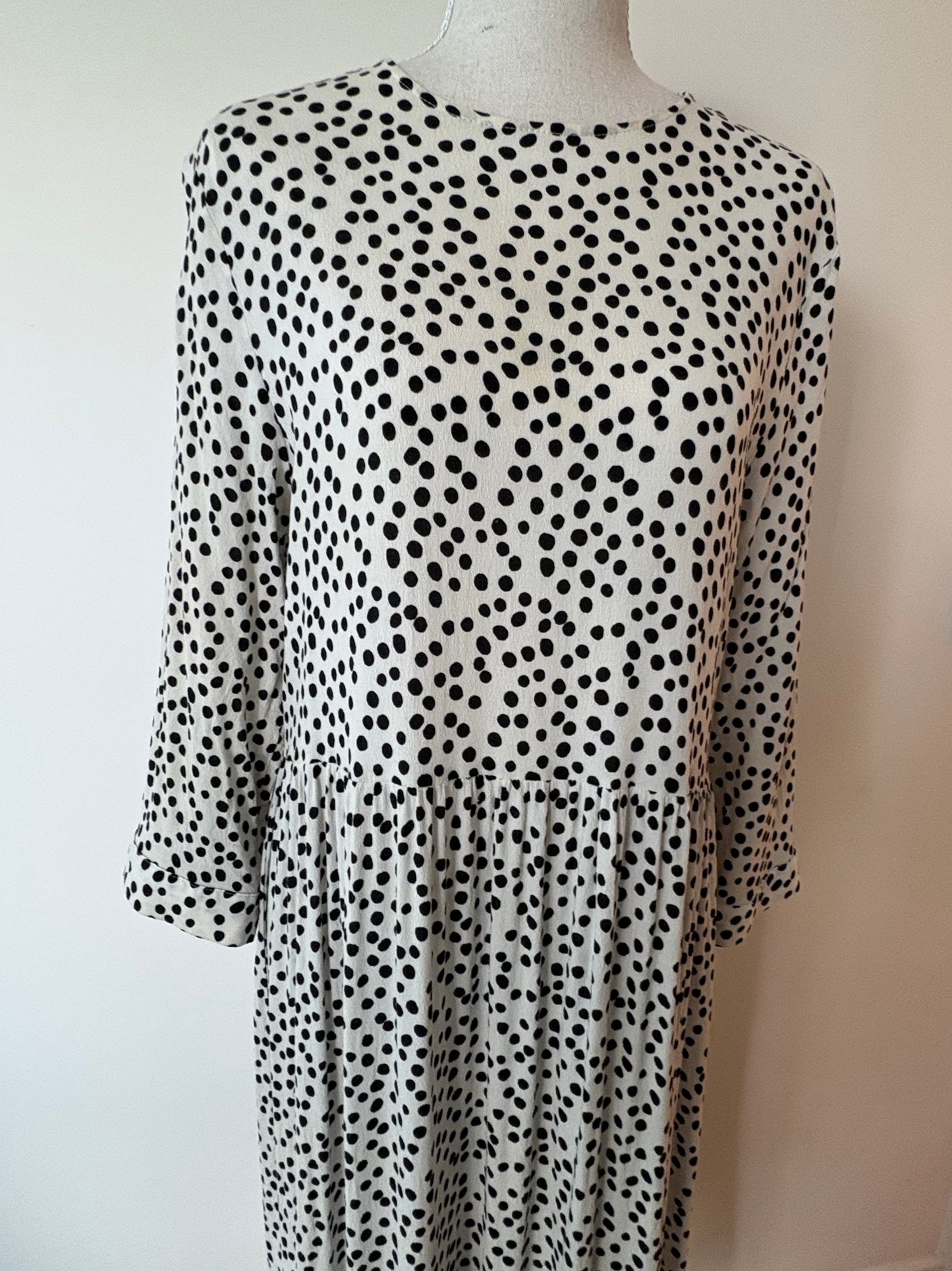 Zara Polka Dot Dress - 10