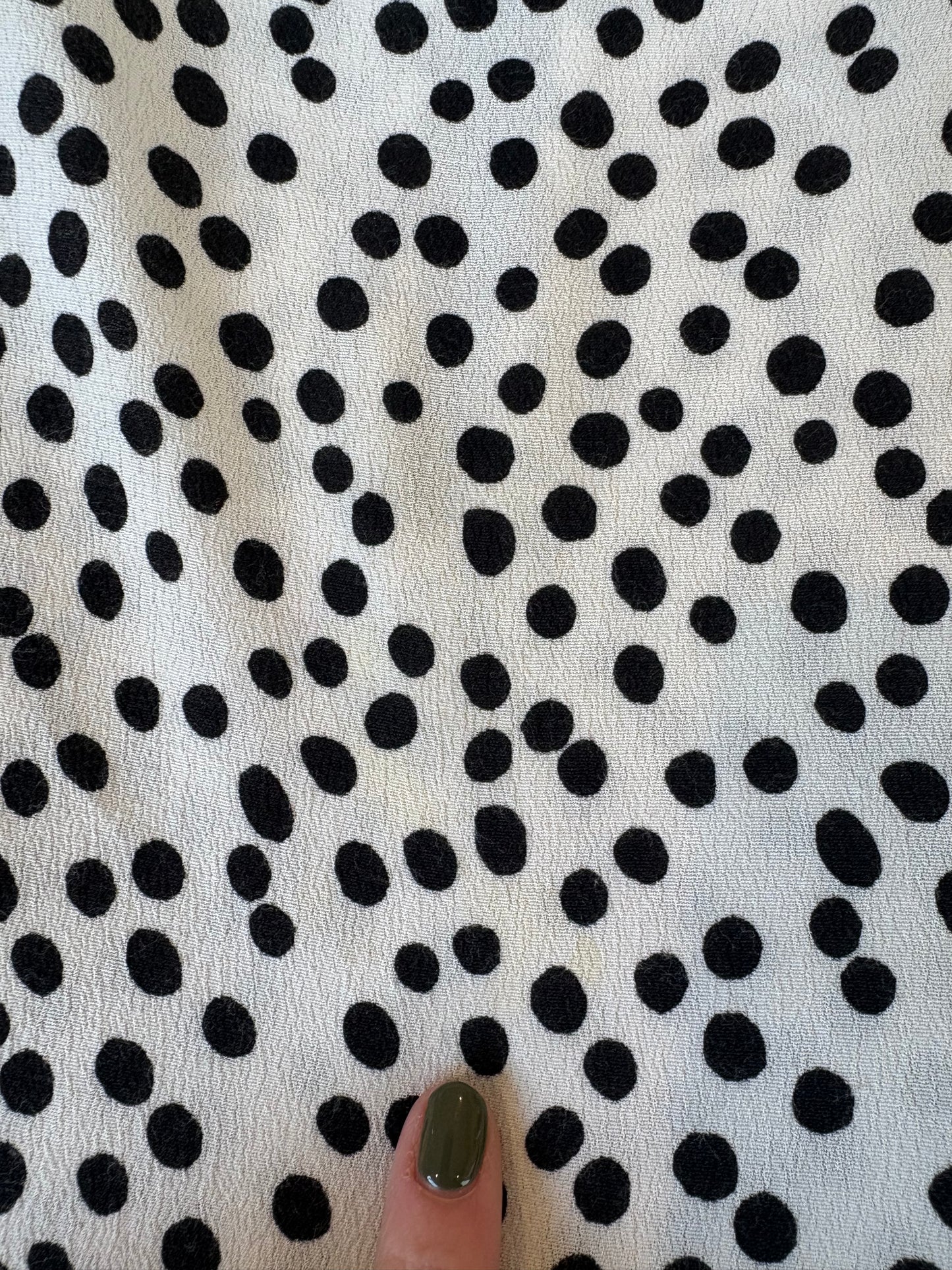 Zara Polka Dot Dress - 10
